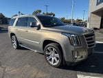 2019 Escalade Thumbnail 3
