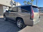 2019 Escalade Thumbnail 7