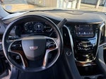 2019 Escalade Thumbnail 20