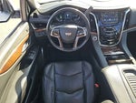 2019 Escalade Thumbnail 5