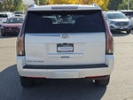 2019 Escalade Thumbnail 23