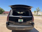 2020 Escalade Thumbnail 4