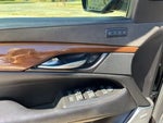 2020 Escalade Thumbnail 14