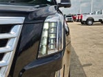 2016 Escalade Thumbnail 9