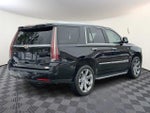 2016 Escalade Thumbnail 6