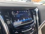 2019 Escalade Thumbnail 14