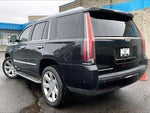 2020 Escalade Thumbnail 4