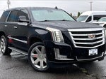 2020 Escalade Thumbnail 7