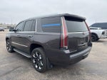 2016 Escalade Thumbnail 5