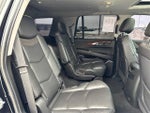 2020 Escalade Thumbnail 11