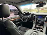 2020 Escalade Thumbnail 14