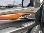 2020 Escalade Thumbnail 19