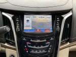 2020 Escalade Thumbnail 15
