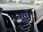 2018 Escalade Thumbnail 19