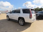2017 Escalade Thumbnail 15