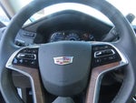 2017 Escalade Thumbnail 28