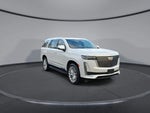 2024 Escalade Thumbnail 2