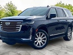 2023 Escalade Thumbnail 12