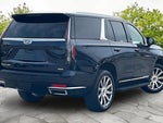2023 Escalade Thumbnail 13