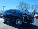 2021 Escalade Thumbnail 1