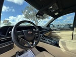2023 Escalade Thumbnail 19
