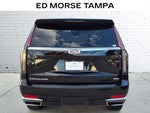 2023 Escalade Thumbnail 3