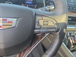 2023 Escalade Thumbnail 19