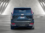 2022 Escalade Thumbnail 4