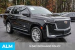 2022 Escalade Thumbnail 4