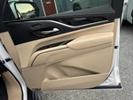 2023 Escalade Thumbnail 12