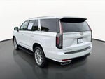2021 Escalade Thumbnail 7