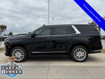 2024 Escalade Thumbnail 8