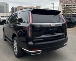 2023 Escalade Thumbnail 5