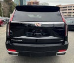 2023 Escalade Thumbnail 6