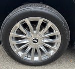 2023 Escalade Thumbnail 11