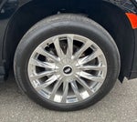 2023 Escalade Thumbnail 14