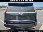 2023 Escalade Thumbnail 4