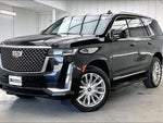 2021 Escalade Thumbnail 2