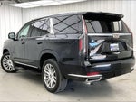 2021 Escalade Thumbnail 11