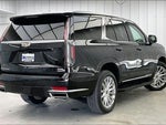 2021 Escalade Thumbnail 12