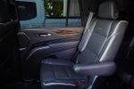 2022 Escalade Thumbnail 19