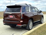 2023 Escalade Thumbnail 6