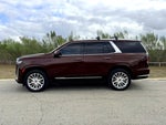 2023 Escalade Thumbnail 11