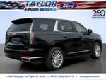 2024 Escalade Thumbnail 4