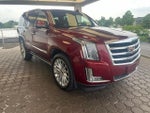 2017 Escalade Thumbnail 8