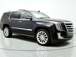 2020 Escalade Thumbnail 3