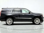 2020 Escalade Thumbnail 4