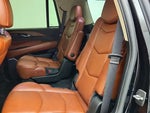 2020 Escalade Thumbnail 21