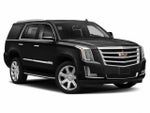 2020 Escalade Thumbnail 1