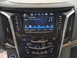 2020 Escalade Thumbnail 8